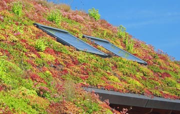 Riplingham living roof systems