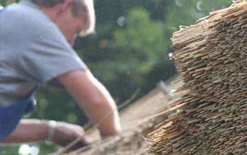 professional Riplingham thatchers