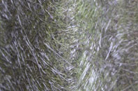 Riplingham fibreglass roof work